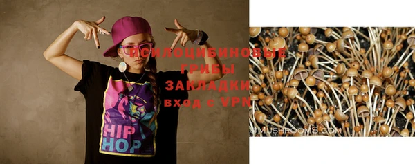 бошки Алзамай