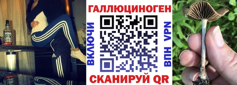Псилоцибиновые грибы Psilocybe  Самара 