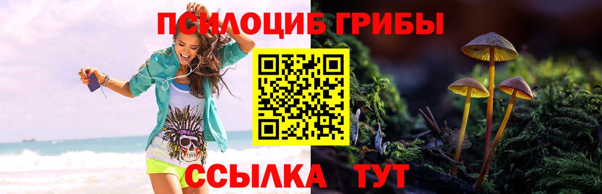 Галлюциногенные грибы мицелий  Вход с VPN  Самара 
