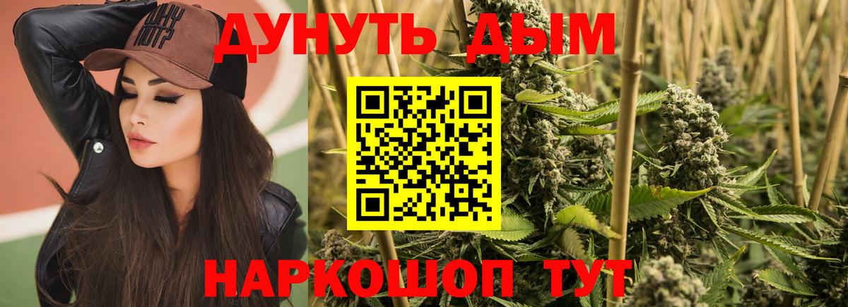 Канабис ГИДРОПОН  Вход с VPN  Самара  Каннабис индика  Конопля SATIVA & INDICA 